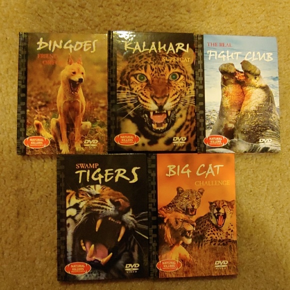 For the Animal Lover! - Picture 4 of 8